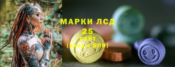 дживик Касимов