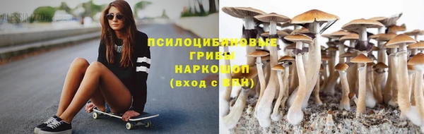 дживик Касимов