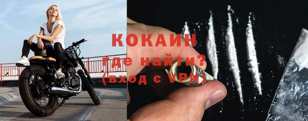 дживик Касимов