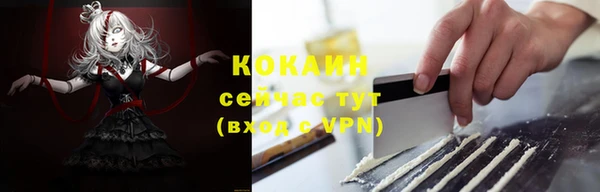 прущие крисы Карпинск
