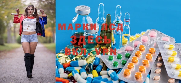 прущие крисы Карпинск