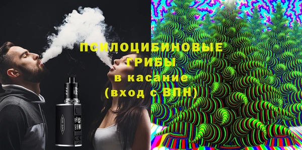 ГАЛЛЮЦИНОГЕННЫЕ ГРИБЫ Карталы