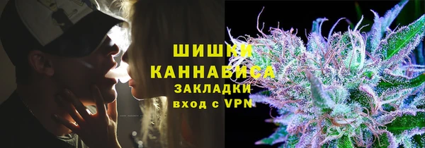 ГАЛЛЮЦИНОГЕННЫЕ ГРИБЫ Карталы