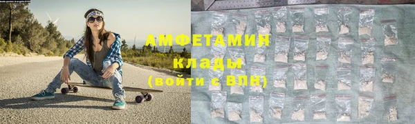 ГАЛЛЮЦИНОГЕННЫЕ ГРИБЫ Карталы