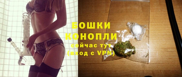 ГАЛЛЮЦИНОГЕННЫЕ ГРИБЫ Карталы