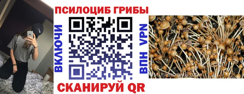Галлюциногенные грибы MAGIC MUSHROOMS  Купить  Белёв 