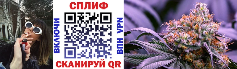 Купить где  Белёв  Бошки марихуана индика 